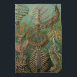 Vintage Worms Annelids Chaetopoda by Ernst Haeckel Tea Towel<br><div class="desc">Vintage illustration nature marine life biology design by Ernst Haeckel. A variety of colourful animals,  segmented worms that live deep in the waters of the oceans.</div>