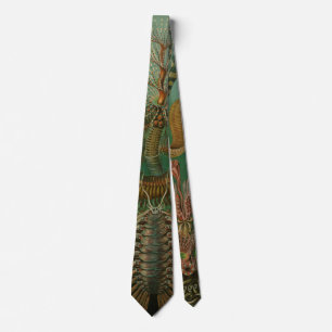 Vintage Worms Annelids Chaetopoda by Ernst Haeckel Tie