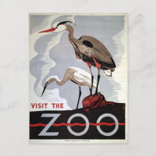 Vintage WPA Visit the Zoo Heron and Egret Postcard
