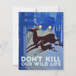 Vintage WPA Wildlife Conservation Poster