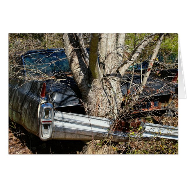 Vintage Wrecked Car Wrapped Around Tree (Front Horizontal)