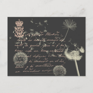Vintage Writing Dandelion Postcard