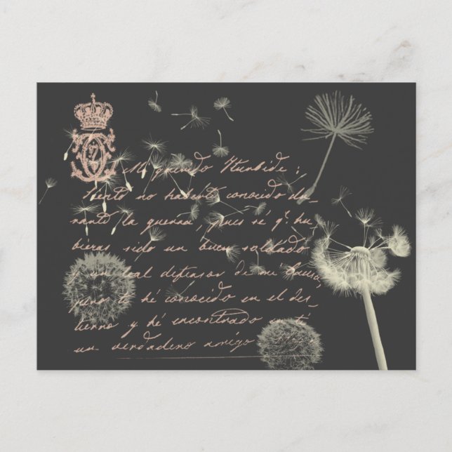 Vintage Writing Dandelion Postcard (Front)