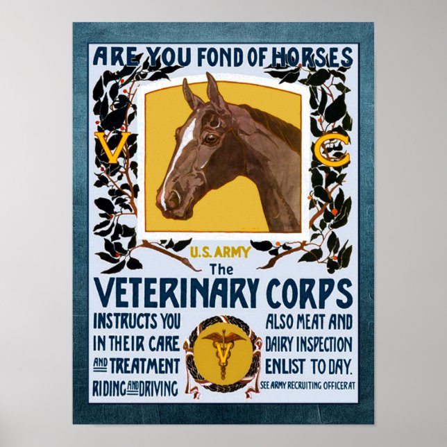 Vintage WW1 Veterinary Corps Army Recruitment Poster (Front)