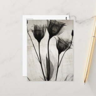 Vintage X-Ray Flowers Postcard