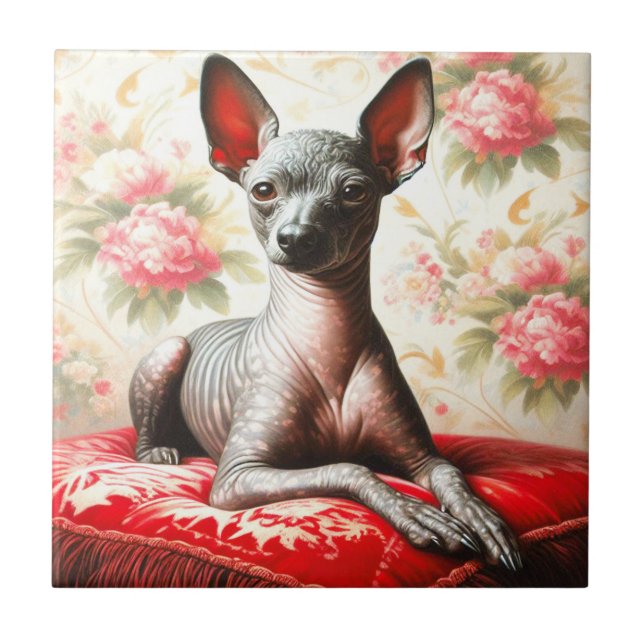 Vintage Xoloitzcuintle  Illustration Ceramic Tile (Front)