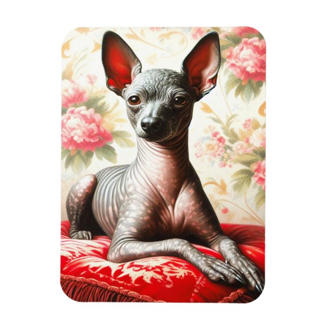 Vintage Xoloitzcuintle  Illustration Magnet (Vertical)
