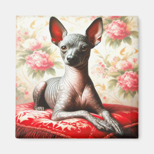 Vintage Xoloitzcuintle Illustration Magnet