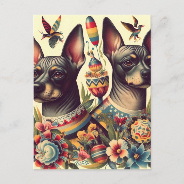 Vintage Xoloitzcuintle Illustration Postcard (Front)