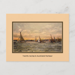 Vintage Yachts racing in Auckland Harbour NZ Postcard