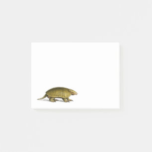 Vintage yellow armadillo illustration post-it notes