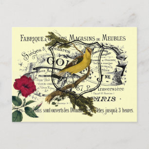 Vintage Yellow Bird Ephemera Collage Postcard