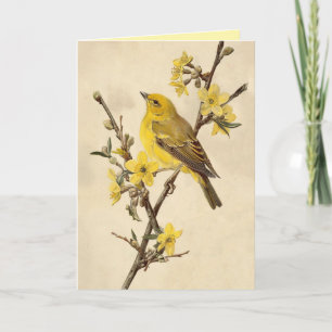 Vintage Yellow Bird Greeting Card