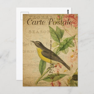 Vintage Yellow Bird Postcard