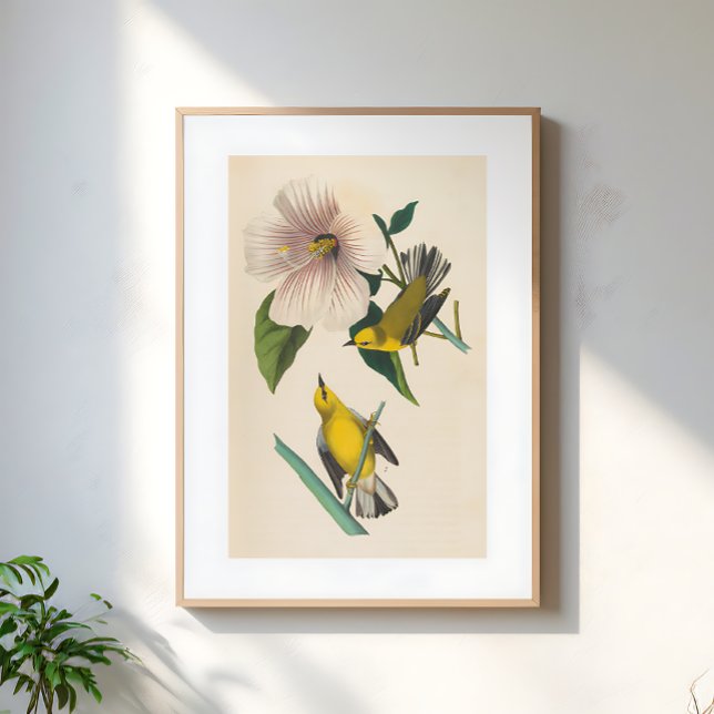 Vintage Yellow Birds On Flower Illustration Poster (Creator Uploaded)