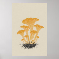 Vintage Yellow Chanterelle Mushroom Botanical