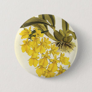 Vintage Yellow Oncidium Orchid, Tropical Flowers 6 Cm Round Badge