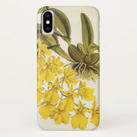 Vintage Yellow Oncidium Orchid, Tropical Flowers