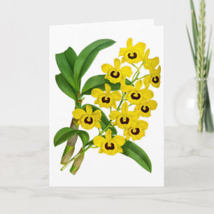Vintage Yellow Orchid Flower Card