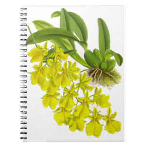Vintage Yellow Orchid Flower_GC Notebook