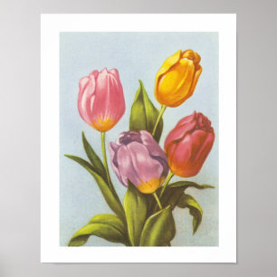 Vintage Yellow, Pink, and Purple Tulips Poster