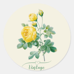 Vintage Yellow Rose Fine art  Classic Round Sticker