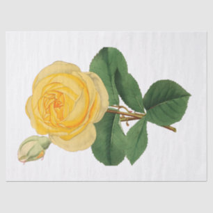 Vintage Yellow Rose Flower Tissue Paper