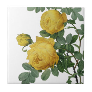 Vintage yellow rose painting tile