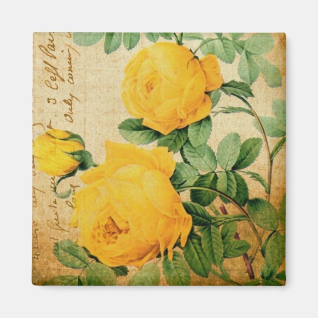 Vintage Yellow Roses Magnet (Front)