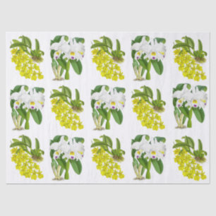 Vintage Yellow White Exotic Orchid Flower Tissue Paper