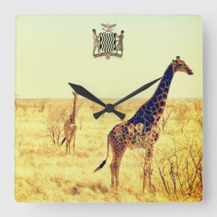 Vintage Zambia africa safari Square Wall Clock
