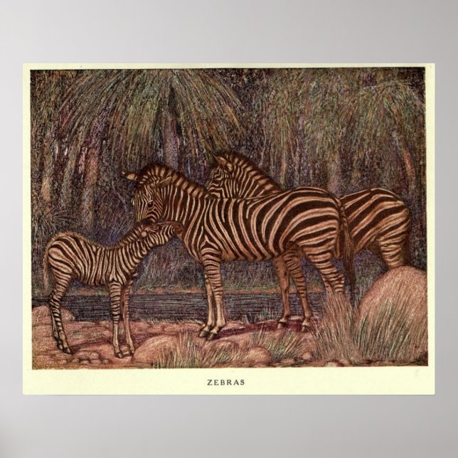 Vintage Zebra Painting (1909) Poster (Front)
