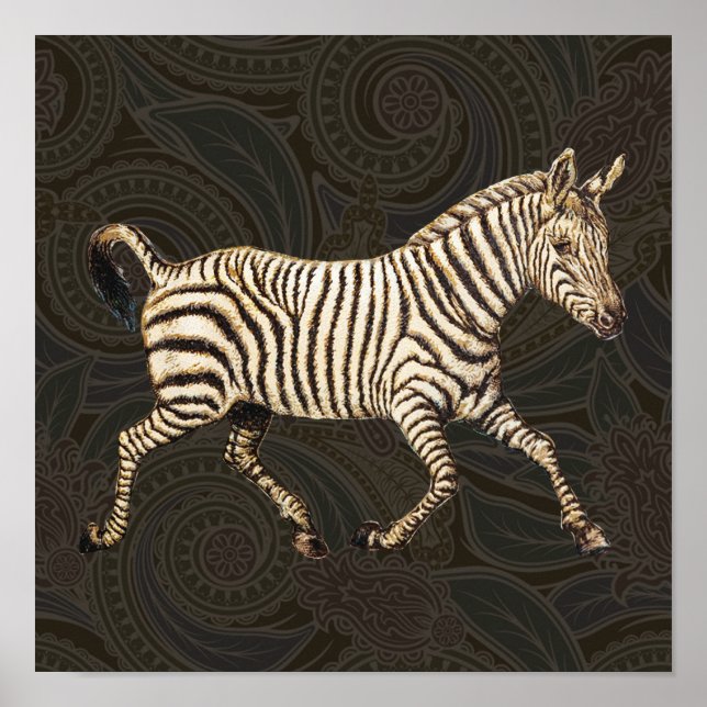 Vintage zebra running with paisley design poster (Front)
