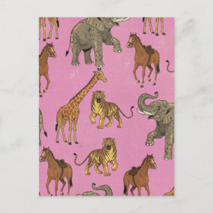 Vintage Zoo Animals Postcard
