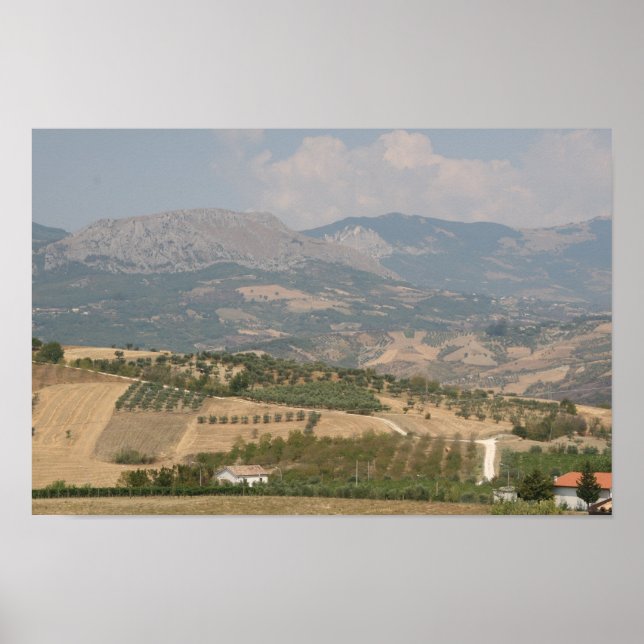 Vinyard, Abruzzi, Italy Poster (Front)