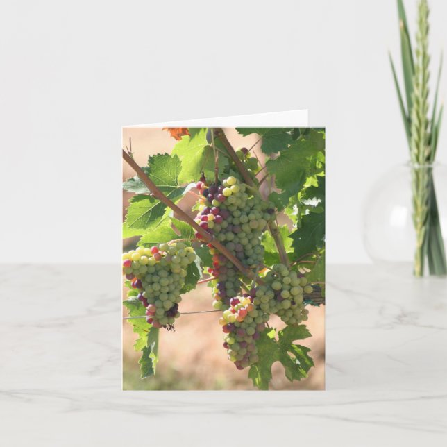 Vinyard Notecard (Front)