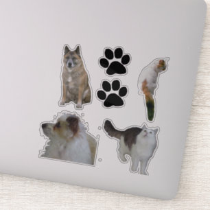Vinyl Sticker - Cats and Dogs