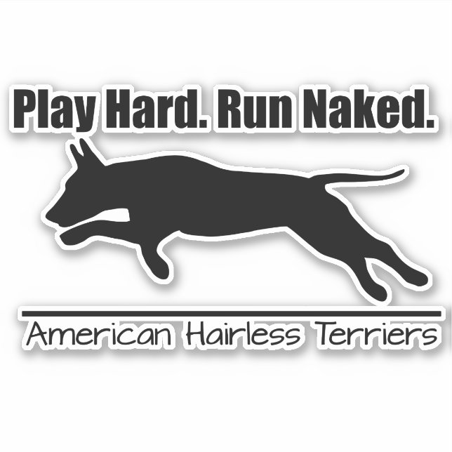 Vinyl Sticker Play Hard AHT Design (Front)