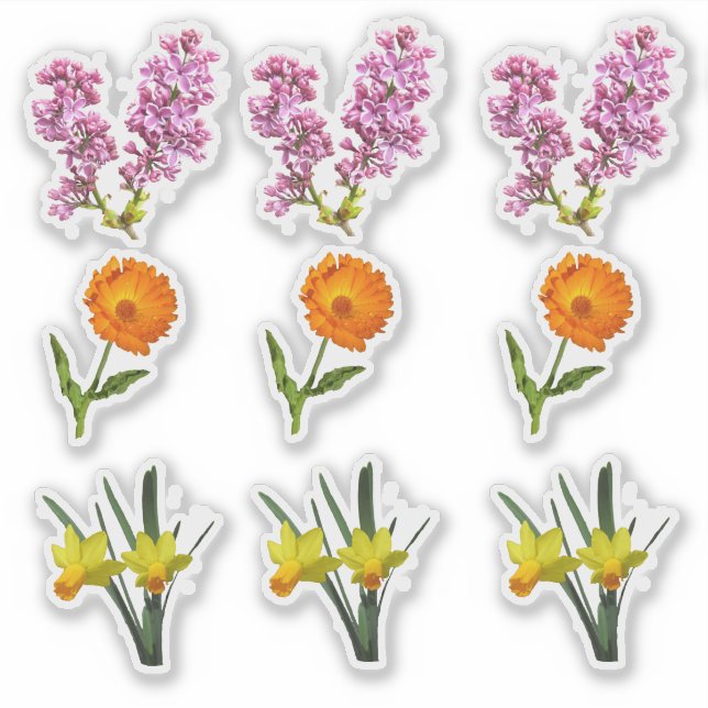 Vinyl Sticker - Spring Flowers (Front)