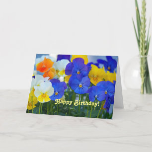 Viola 212 Birthday Card