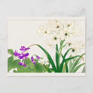 Viola, Arabian star flower by Tanigami Konan Postcard