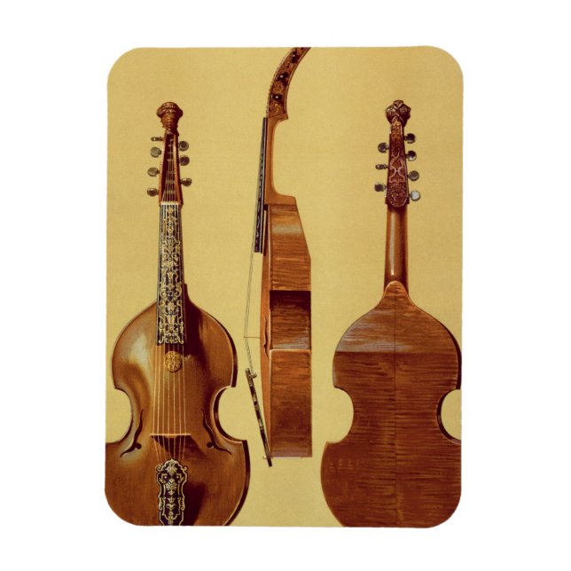 Viola d'Amore, 18th century, from 'Musical Instrum Magnet (Vertical)