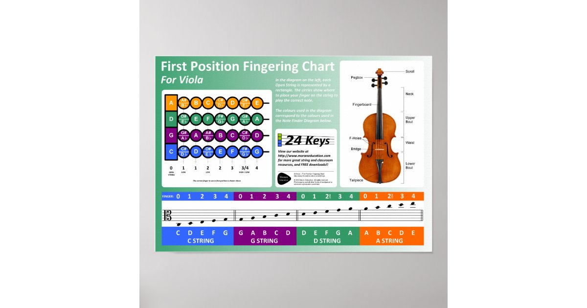 Viola Fingering Chart Zazzle