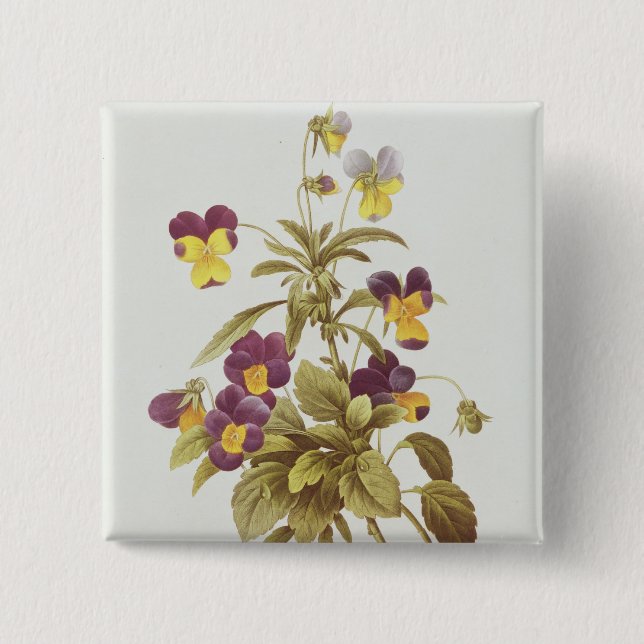 Viola Tricolour 15 Cm Square Badge (Front)