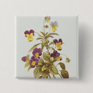 Viola Tricolour 15 Cm Square Badge
