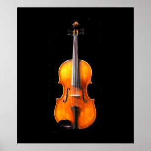 Viola / Violin Poster Print