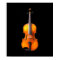 Viola / Violin Poster Print