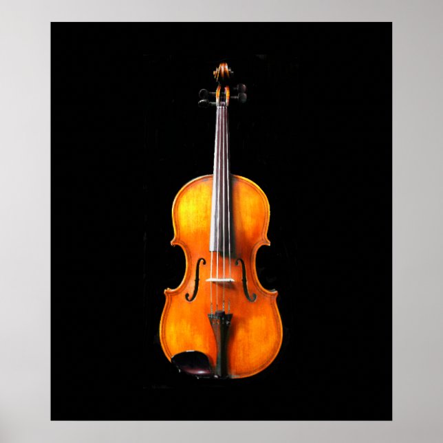 Viola / Violin Poster Print (Front)