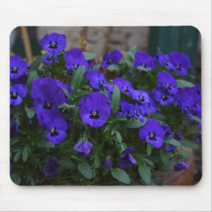 Viola wittrockiana mouse pad