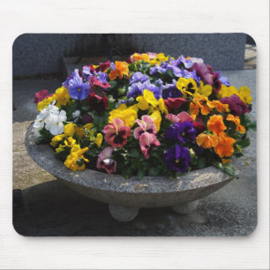 Viola wittrockiana mouse pad